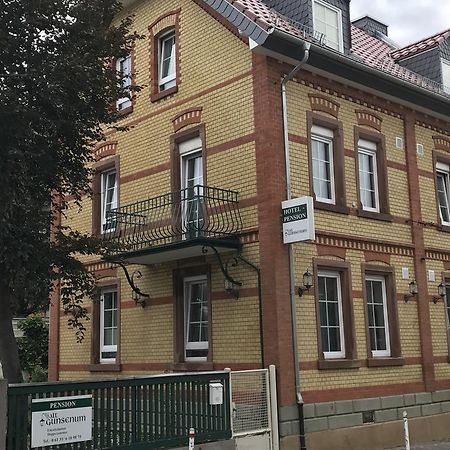 Pension Alt-Gunsenum Maguncia Exterior foto